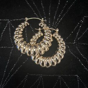 Elegant Gold Hoop Earrings